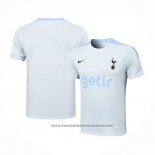 Training Shirt Tottenham Hotspur 2024-2025 Grey