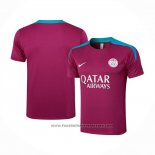 Training Shirt Paris Saint-Germain 2024-2025 Purpura