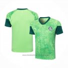 Training Shirt Palmeiras 2024-2025 Green